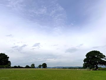 View of the site