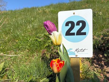 Pitch number sign