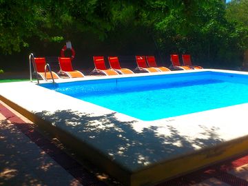 Pool and poolside loungers (added by manager 29 jun 2017)
