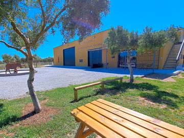 Picnic area