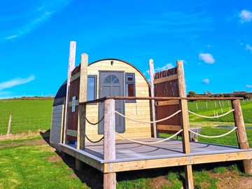 The pod under summer skies