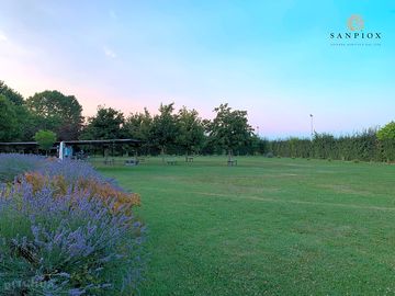 Veduta del giardino al tramonto. in fondo le piazzole camper, sul lato sinistro l'area barbecue. (added by manager 17 jul 2023)