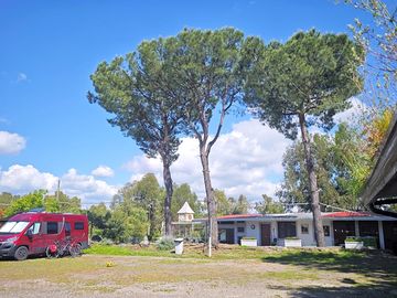 Serviced grass pitches