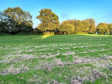 Camping field newly mown
