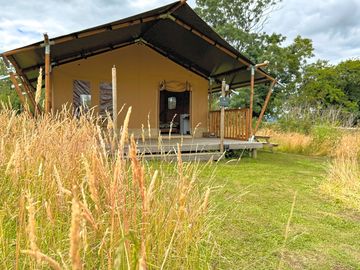 Open-plan safari tent