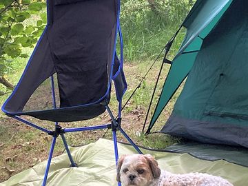 Well behaved dogs welcome on leads to protect livestock please