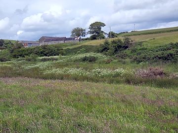 View of the farm buildings