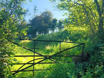 Nearby walks