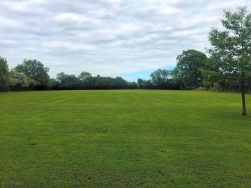Campsite sheltered by trees