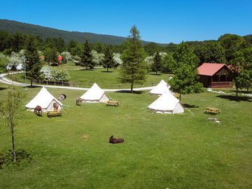 Bell tents (added by manager 11 jan 2024)