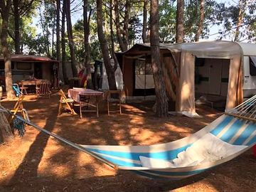 Pitches under the trees