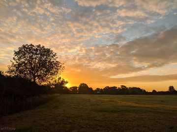 Sunrise over the field (added by visitor 03 aug 2020)