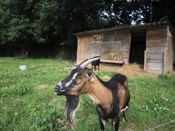 Small on-site farm