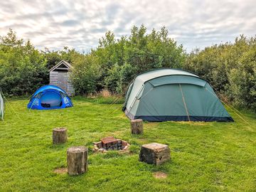 Visitor image of the exclusive pitch