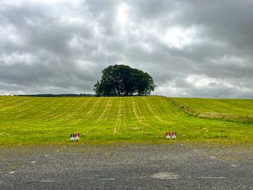 View of the site