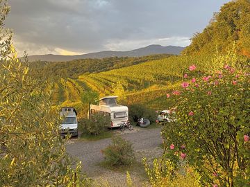 Camper pitches