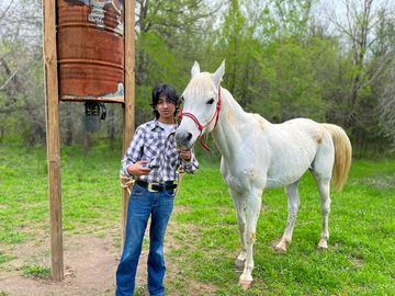 Horses on site