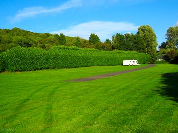 Quiet pitches surrounded by greenery