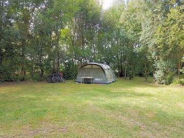 Peaceful, shaded tent pitches (added by manager 05 jul 2018)