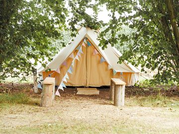 Bell tent under shady cobnut trees