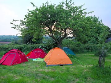 Spacious pitches