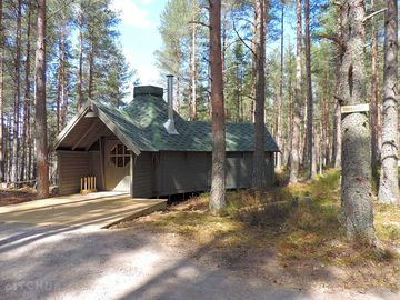 Beekeepers bothy set in pine trees (added by manager 25 mar 2021)