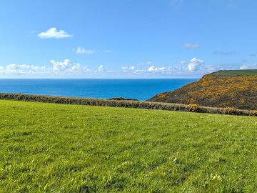 View from a walk towards the cliff