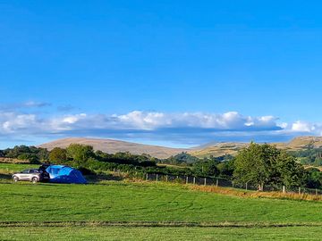 Grass tent pitch (added by manager 09 aug 2022)