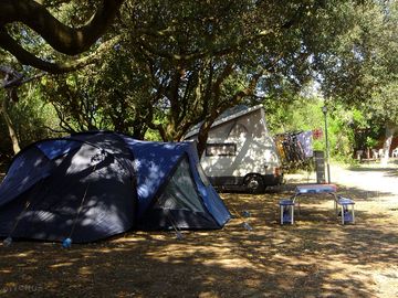 Camping among the trees