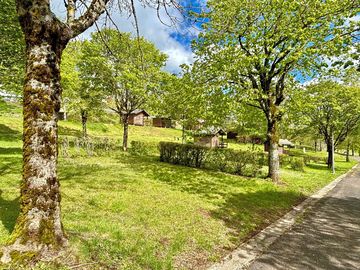 Grass pitches between the trees