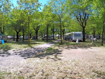 Pitch