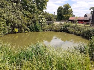 Fishing on site