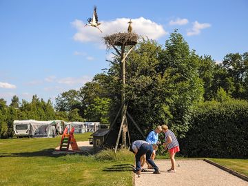 Petanque (added by manager 14 feb 2024)