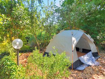 Tent pitch among the trees