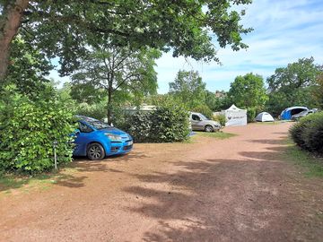 Pitches under the trees