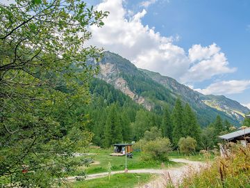 Leafy site in the mountains