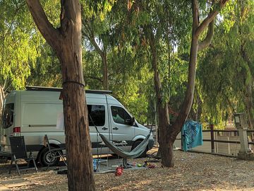 Pitch under the trees