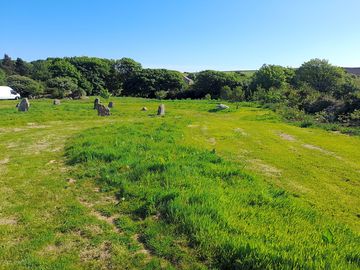 Around the site