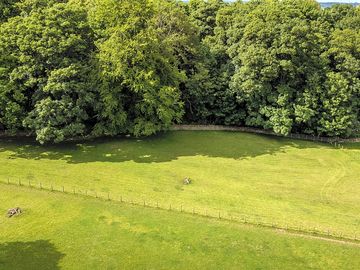 Aerial view over the site