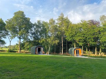The cabins
