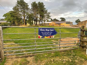 Entrance to the paddock
