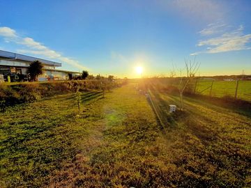 Campsite at sunset (added by manager 12 dec 2023)