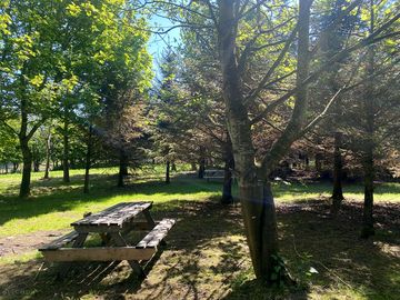 On-site picnic area