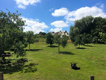 View from the bell tent