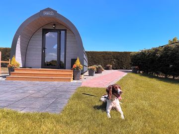 Dog friendly glamping pod