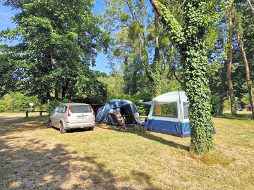 Pitch between the trees