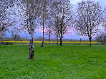 Grassy pitches