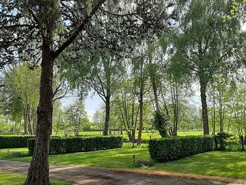 Pitches under the trees
