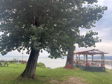 Views of the lake