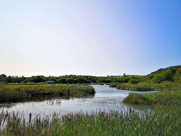 The trout lake